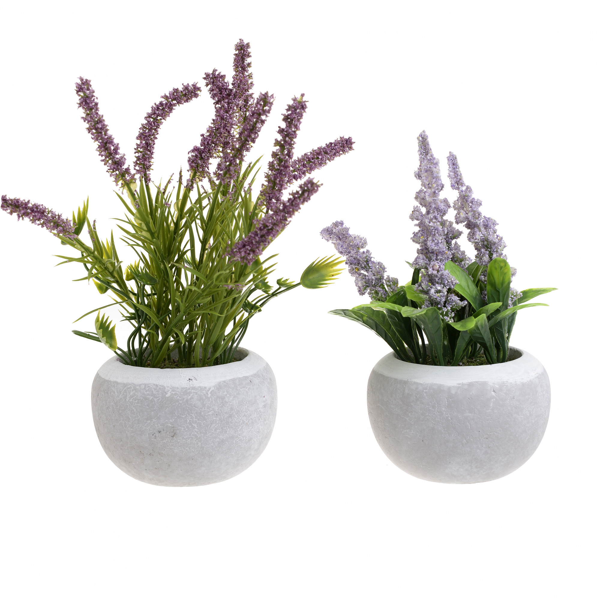 3885475.0223 ИСКУССТВЕННЫЙ ЦВЕТОК В КАШПО, 2 ДИЗАЙНА TO4ROOMS 