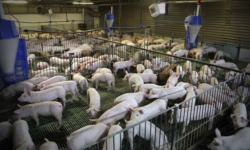 Gazebo Емкость для сбора сточных вод sun-id-1425334 - Вид №2