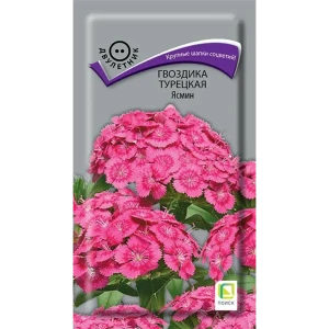 Гвоздика турецкая Ясмин от ПОИСК - нежно-розовые соцветия для сада 89401240