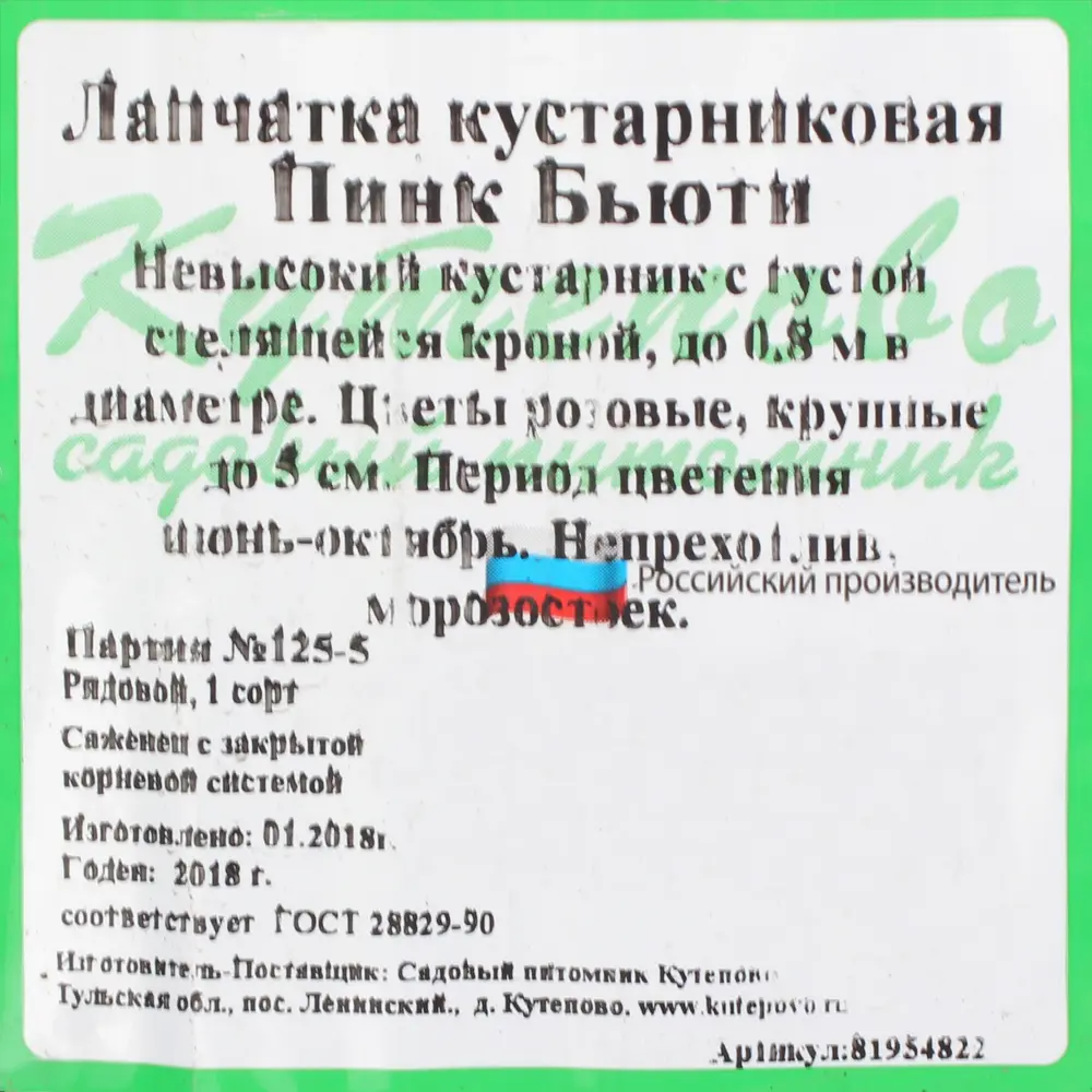 Лапчатка кустарниковая С2 «Пинк Бьюти» h30 81954822 STLM-2203701 Santreyd  - Вид №2