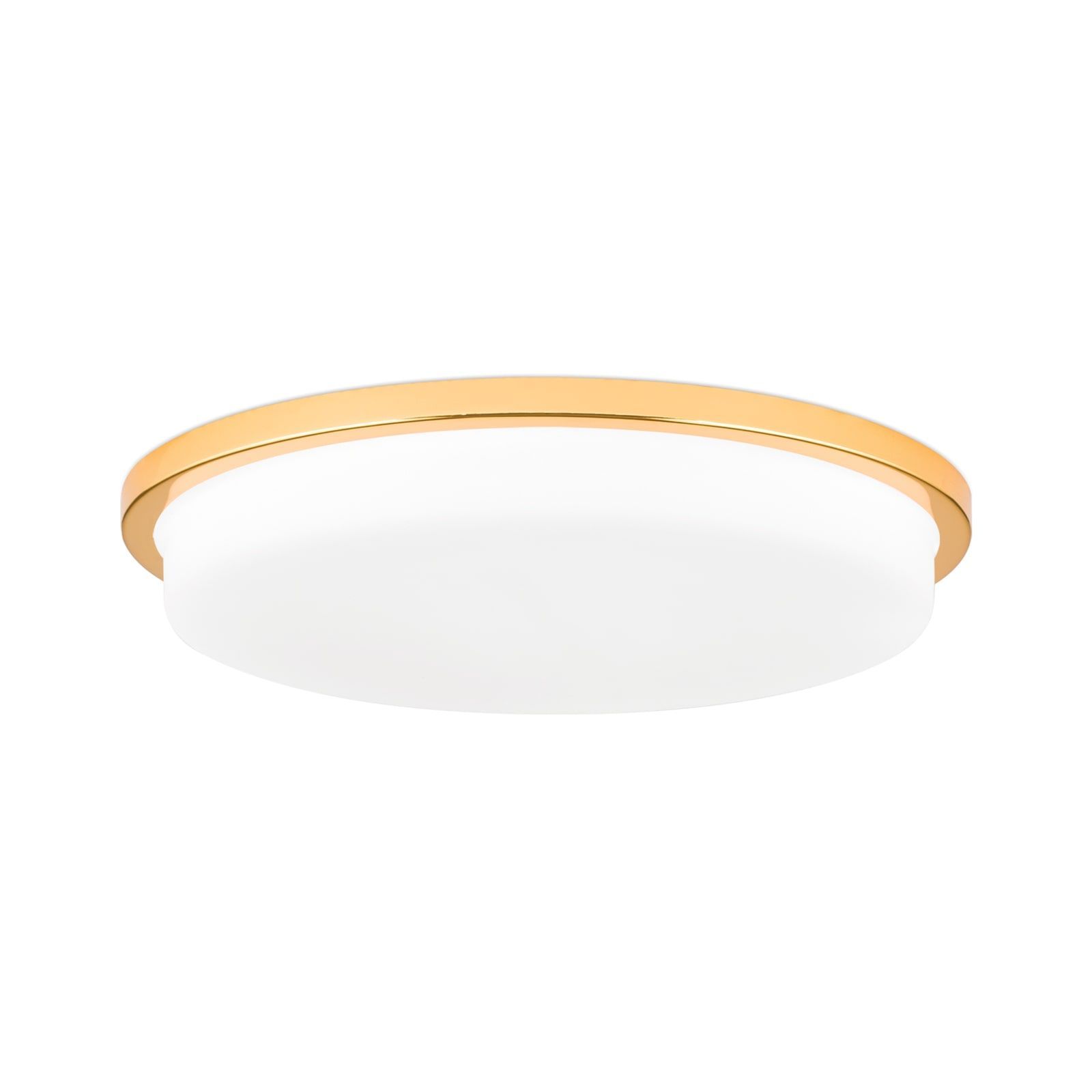 Стеклянный светодиодный потолочный светильник Orion Lerox ARCH-00076009 - Вид №86