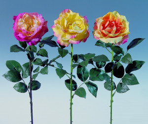 2312 304 a2 Шелковая роза колумбия, 80 см, real touch, желто-красная H-andreas