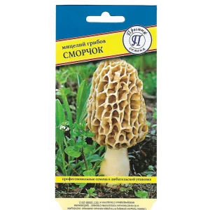 Семена Сморчок