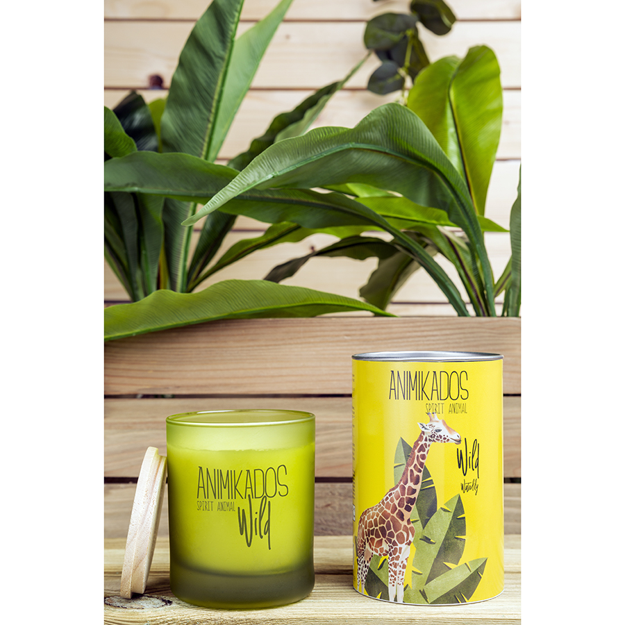 VV040WLAW Свеча ароматическая wild giraffe, Водная лилия, 40 ч Ambientair  - Вид №1