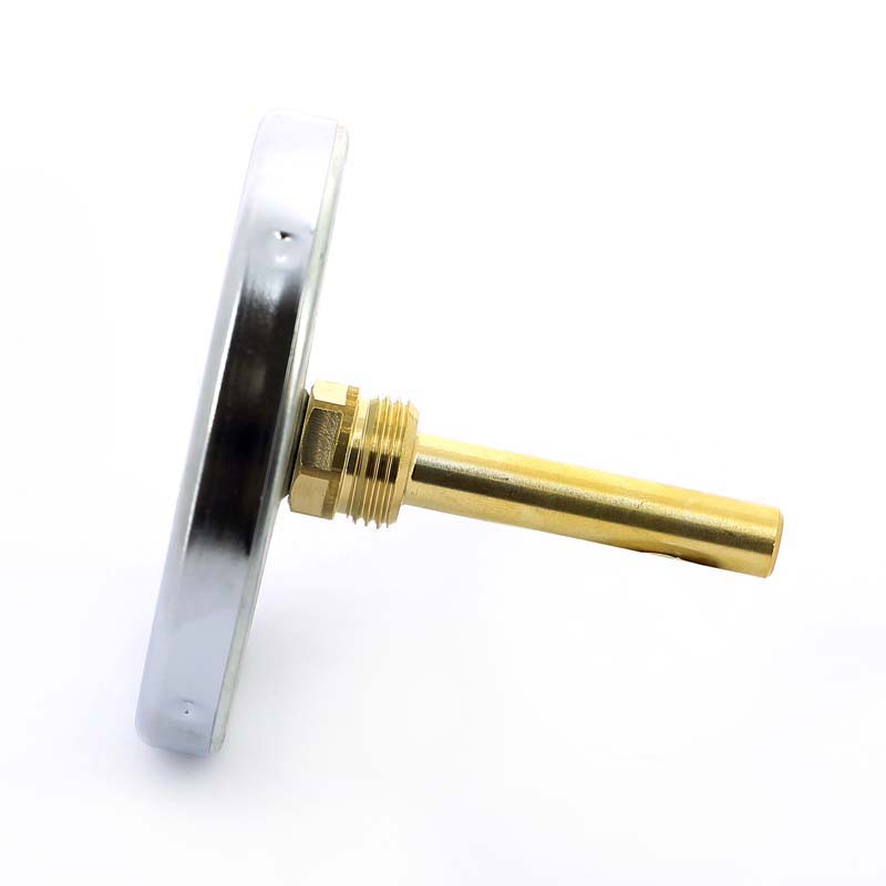 Термометр биметаллический F+R801 100мм с погружной гильзой WATTS Ind 120 град.C гильза 75мм 10006071 - Вид №1