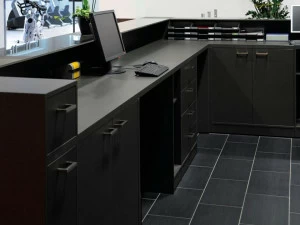 FIT INTERIORS Низкий офисный шкаф для хранения вещей с распашными дверцами