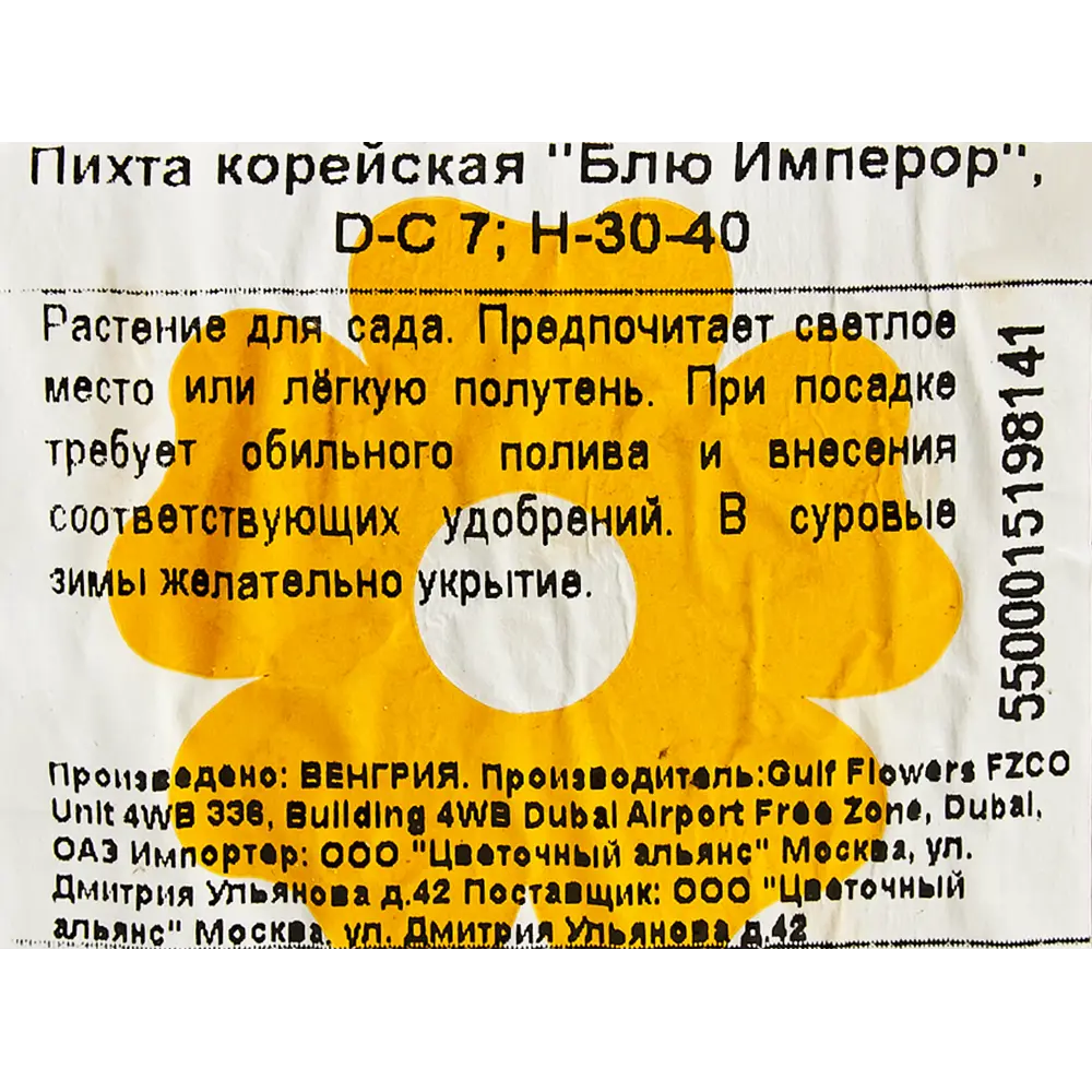 Пихта корейская «Блю Имперор» 21x30 см 82601655 STLM-2195129 Santreyd  - Вид №1