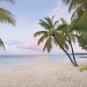 SH086-VD4-Paradise-Morning Фотообои Komar Stefan Hefele 2.5х4 м