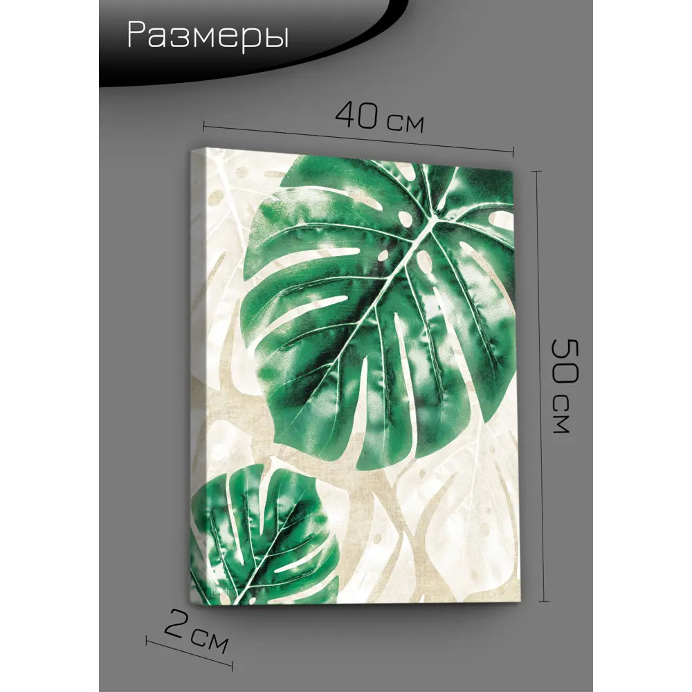 Картина на холсте Экзотические листья 2 40x50 см 85394569 STLM-2033629 FBRUSH  - Вид №7