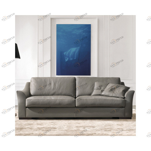 Диван раскладной / Passion CTS sun-id-374206