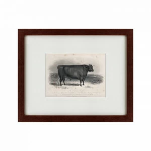 Литография на тонированной бумаге 42х52 см A Devon bull, 1849 КАРТИНЫ В КВАРТИРУ  135683 Бежевый;белый;черный;разноцветный