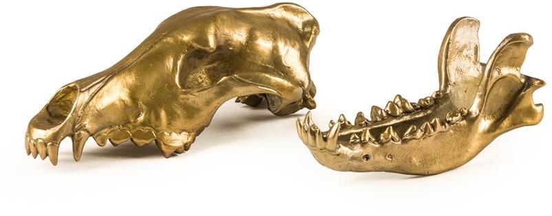 Seletti Алюминиевый декоративный предмет Wunderkammer sun-id-1419385 - Вид №6