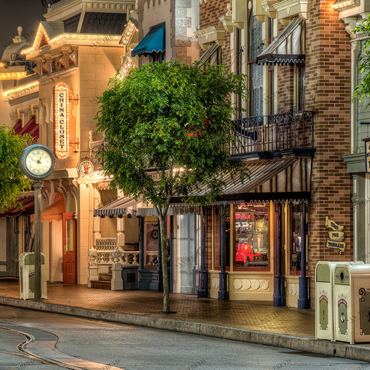 C1-142 Фотообои DIVINO Collection C 2.7х3 м C1142