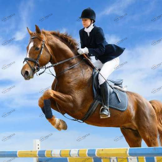 WP01354 Фотообои Verol Фотообои decoline 1х1 м