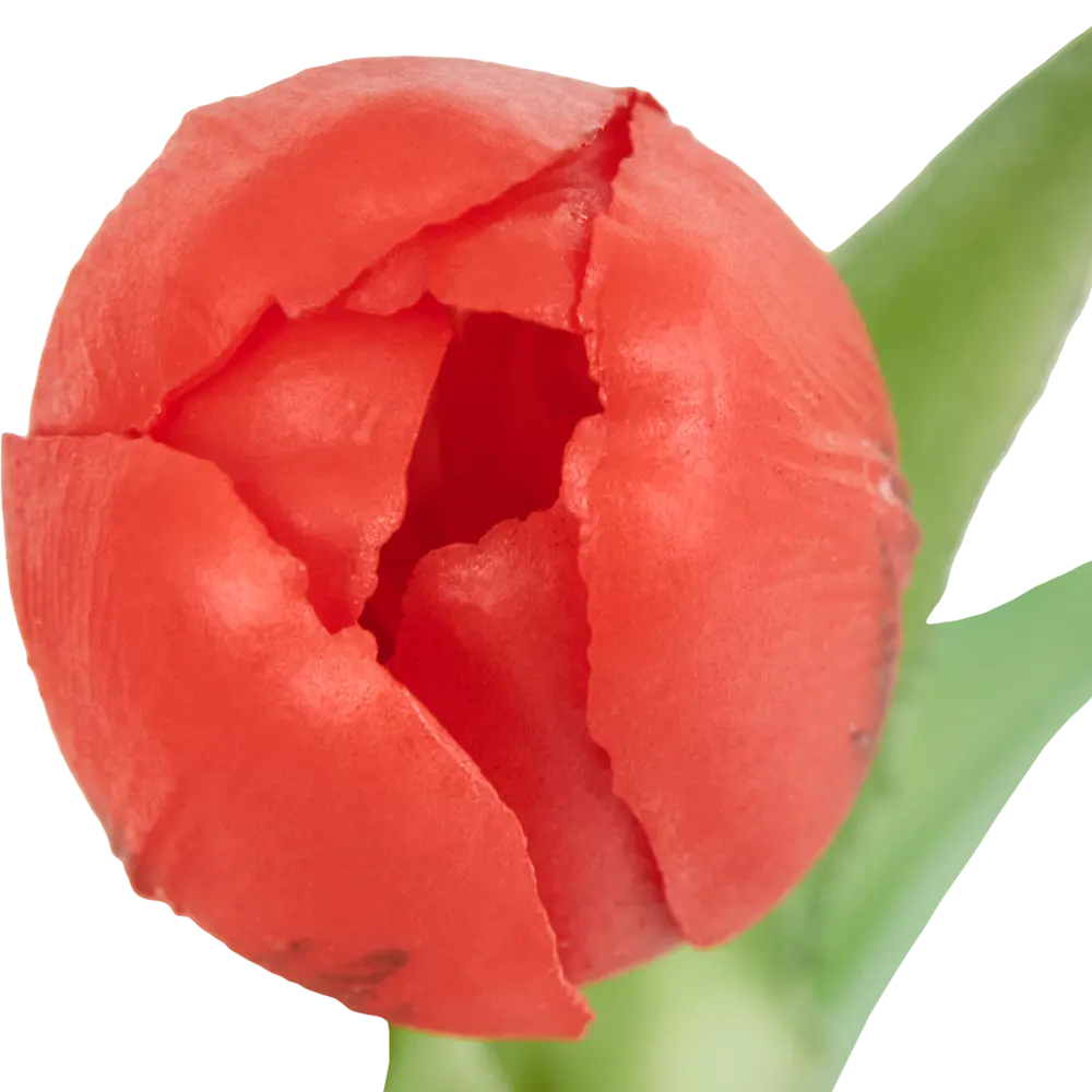 Тюльпан искусственные Soft touch букет 5 шт., цвет красный 83992215 STLM-2058510 Santreyd  - Вид №1