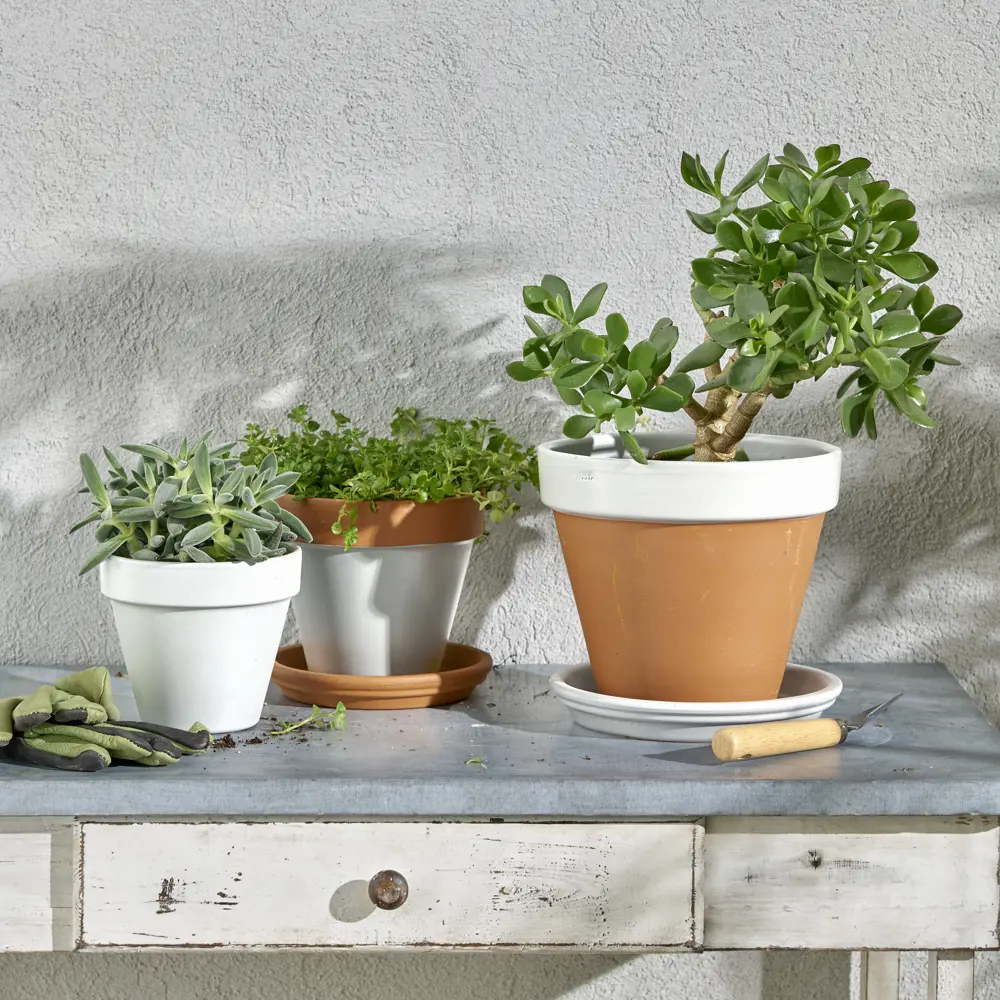 Аэрозольная эмаль Luxens для интерьера и экстерьера - матовый белый 83237426 STLM-0039779 - Вид №2