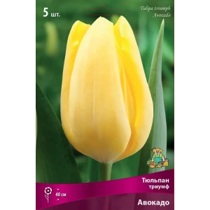 Тюльпан Триумф «Авокадо» размер луковицы 12, 5 шт. 82662936 STLM-2104895