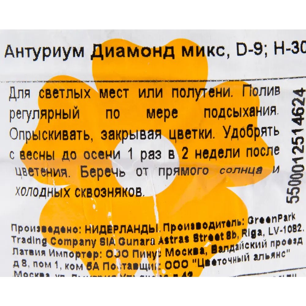 Антуриум Диамонд микс 9x30 см 82399761 STLM-2198474 Santreyd  - Вид №2