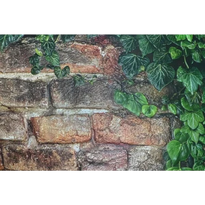 Листовая панель ПВХ Плющ 1002x602x0.5 мм 0.6 м²