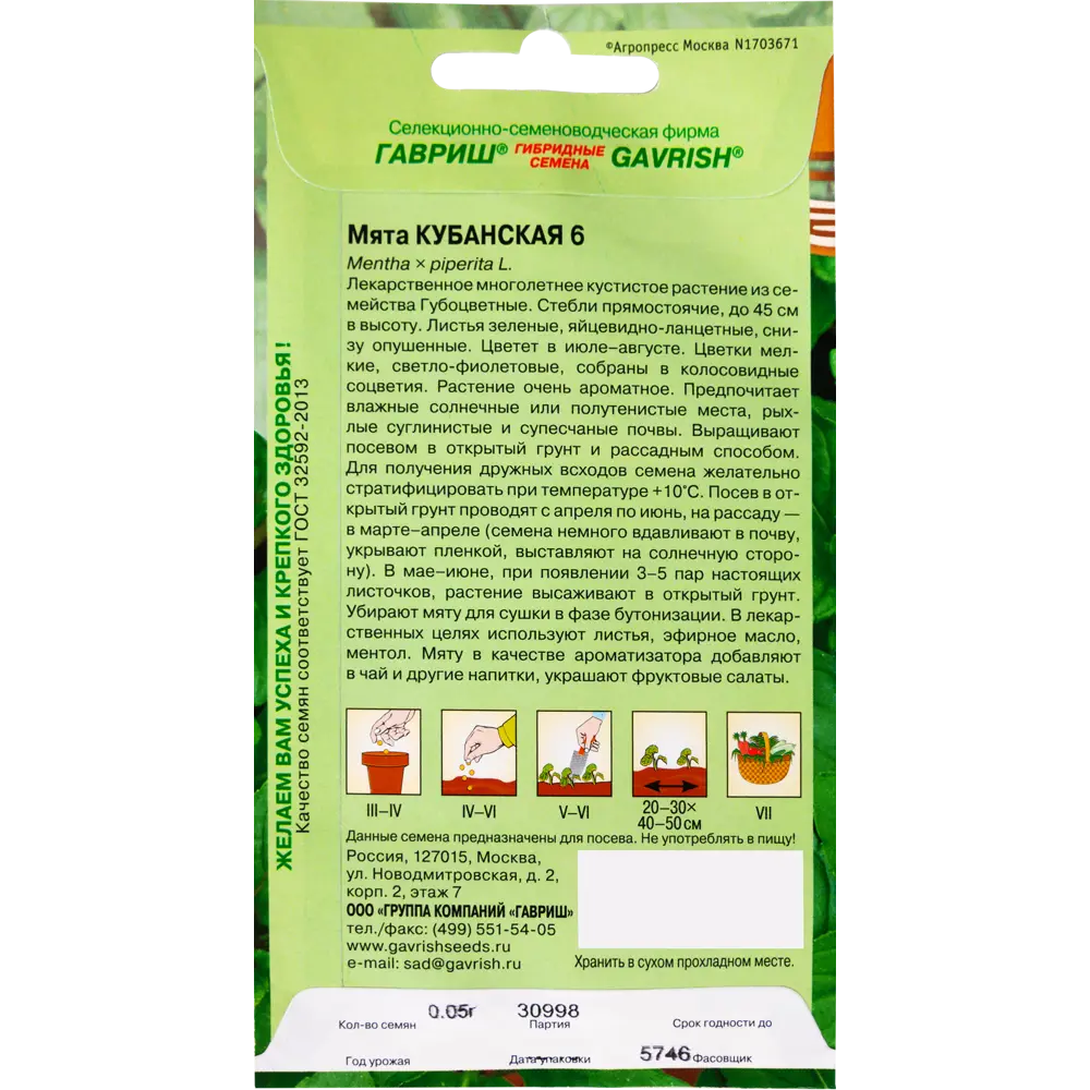 ГАВРИШ Мята перечная Кубанская — ароматная свежесть для дома и сада 17265726 STLM-0007809 - Вид №1