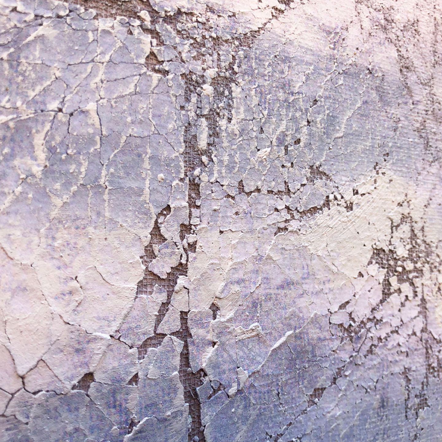 Холст рамки Agave NEBBIA INCANTATA ARCH-00075531 - Вид №3