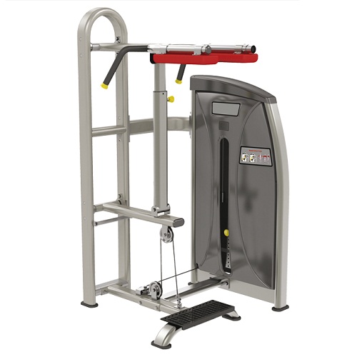 E-017 Bronze gym e-017 голень стоя Bronze Gym E серия 