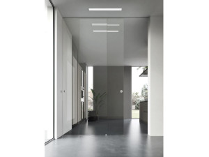 Стеклянная дверь