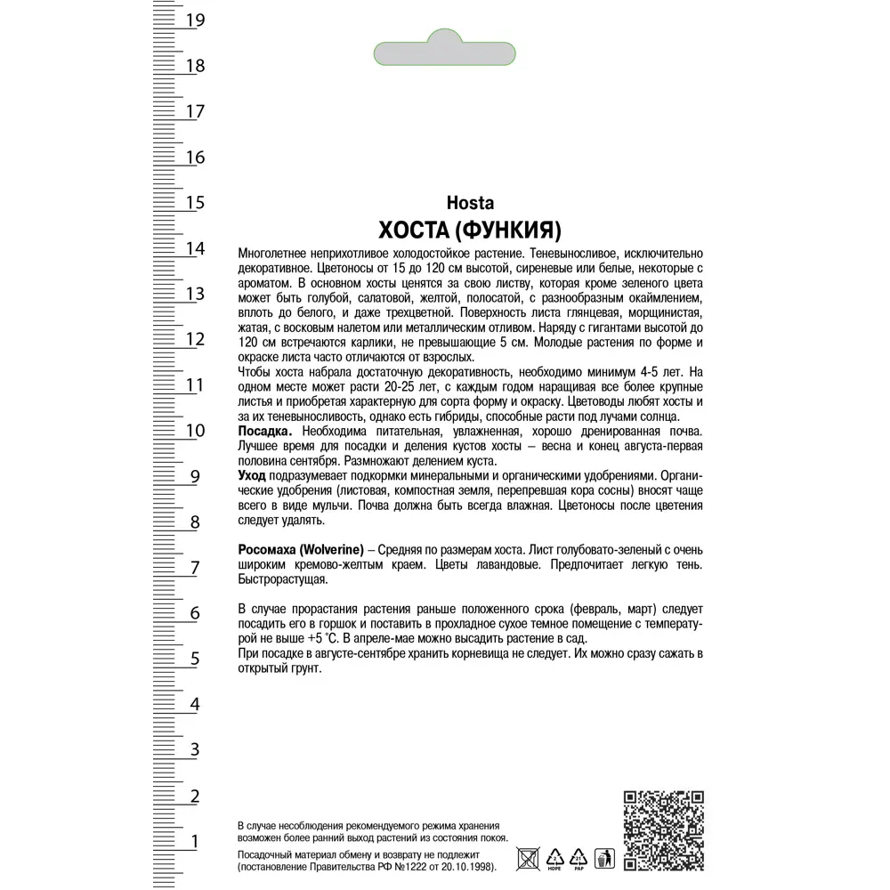Хоста гибридная «Волверайн», 1 шт. 82118745 STLM-2179174 Santreyd  - Вид №1