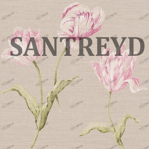 227580 Обои Aquarelle Jaipur