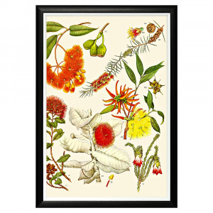 896519654_1818 Арт-постер «Цветочная энциклопедия, глава 36» Object Desire