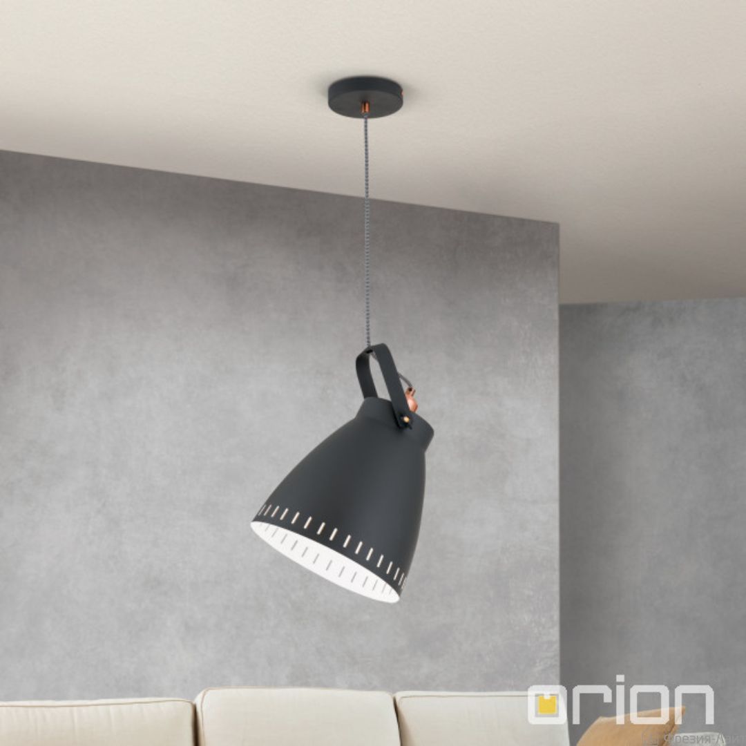 Orion HL 6-1689/1 schwarz Thenke подвесной светильник 119210