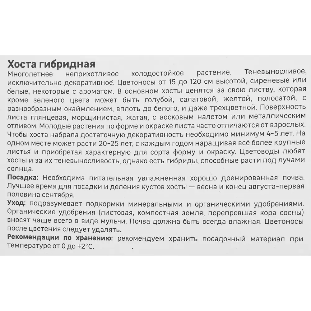 Хоста Geolia гибридная Леди Гиневера 86408588 STLM-2119959  - Вид №3