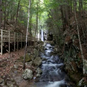 WP02128 Фотообои Verol Фотообои decoline 1х1 м