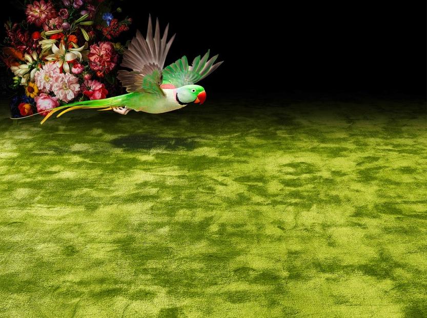 OBJECT CARPET Однотонный шелковый ковер Manufaktur sun-id-1418707 - Вид №1