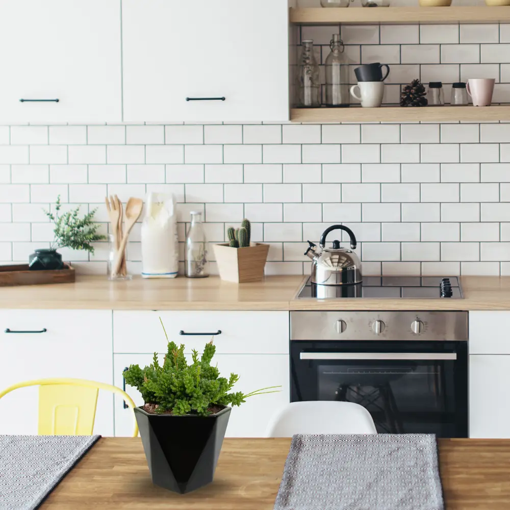 Santreyd Кашпо керамическое черное для комнатных растений 83801942 Кактусник STLM-0044595 - Вид №1