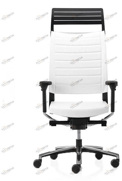 VAGHI Кресло руководителя с регулируемой высотой и подголовником Expo 15 Gxtxx