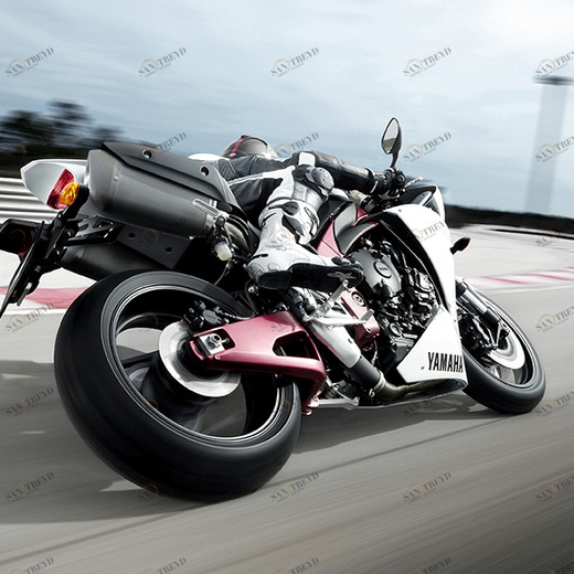 A1-063 Фотообои DIVINO Collection A 1.47х2 м A1063