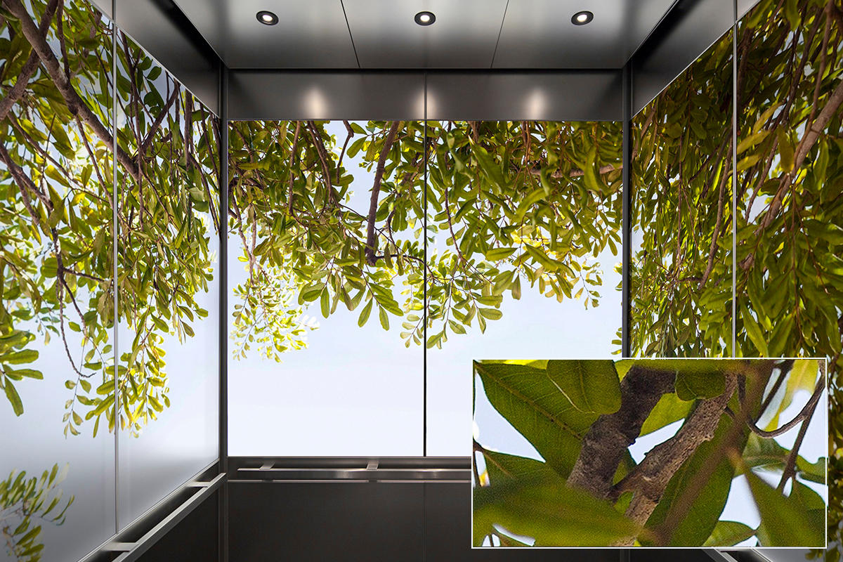 FSRT375 Зум-стекло Vivispectra с прослойкой из содалита  Forms-surfaces  - Вид №17