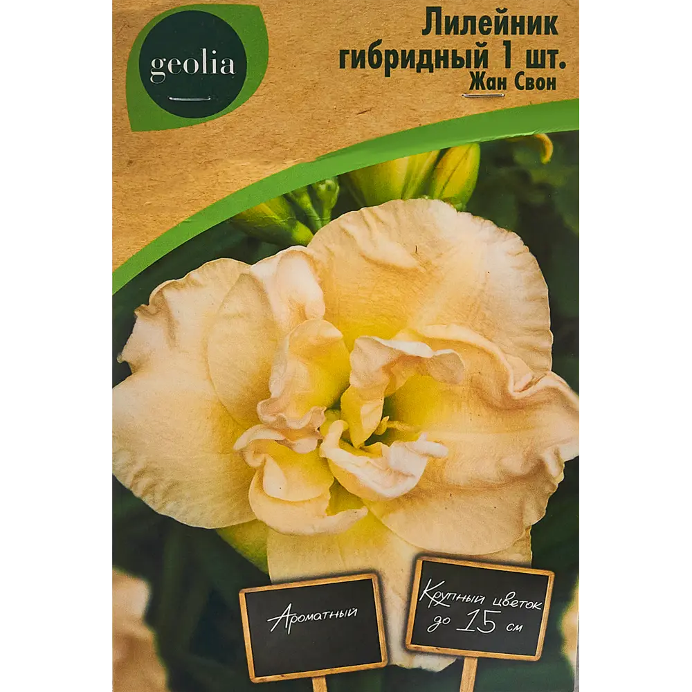 Лилейник Geolia гибридный Жан Свон 86408696 STLM-2194094 