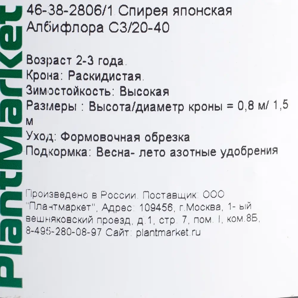 Спирея японская «Албифлора», С3/20-40 см 18468701 STLM-2069970 Santreyd  - Вид №1