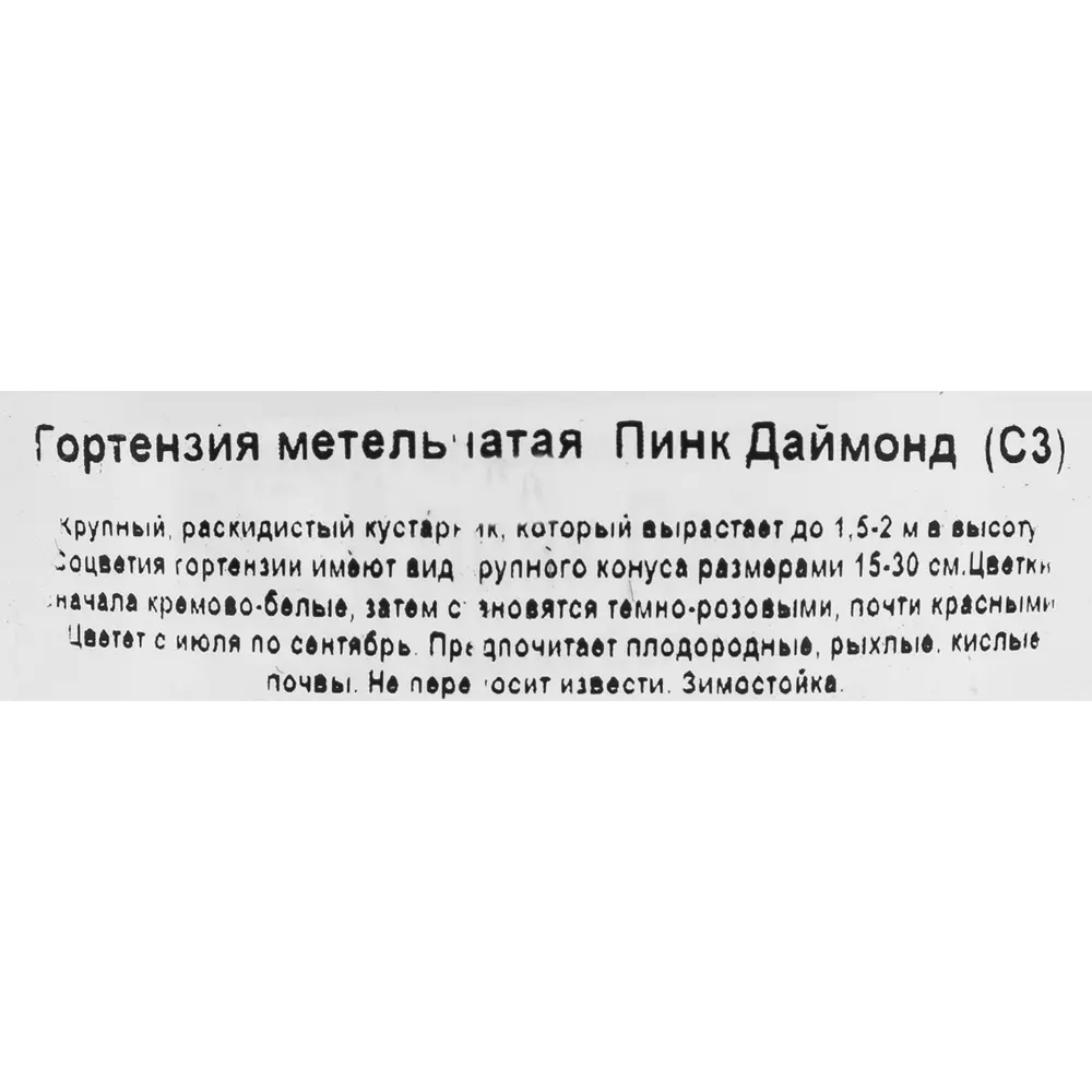 Гортензия Пинк Даймонд Santreyd - розово-белая метельчатая 18016158 STLM-0009254 - Вид №2