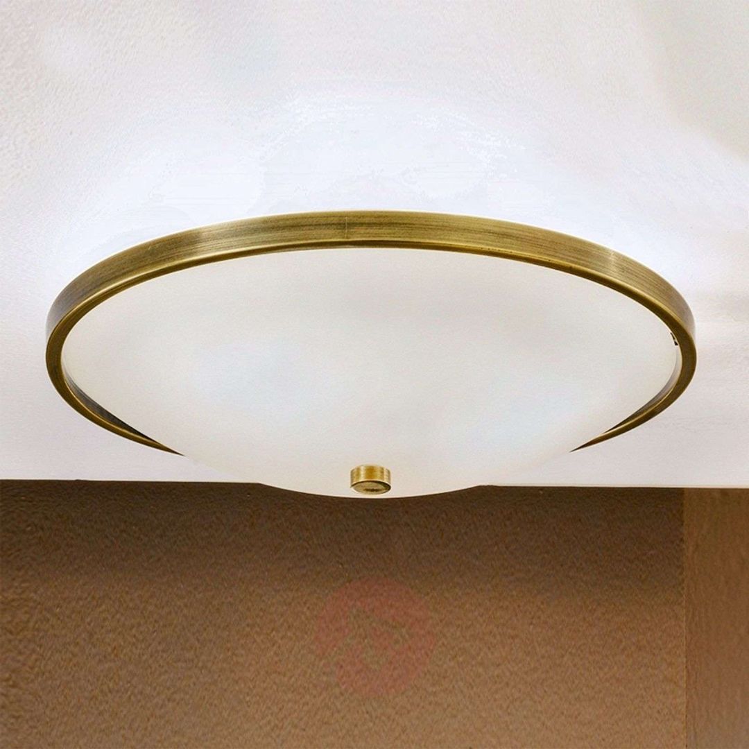 Orion DL 7-531/40 satin светильник потолочный AIDA 95251 - Вид №1