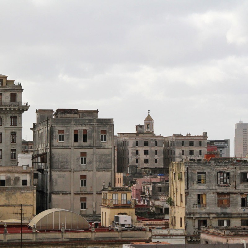 1314/CX38 Картина 1314 Adriani e Rossi 