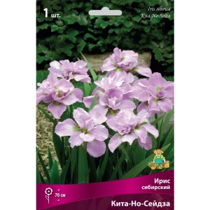 Ирис сибирский «Кита-Но-Сейдза» разбор I 82662335 STLM-2000631