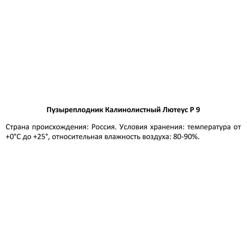 Пузыреплодник калинолистный Лютеус ø9 h30 см 89364991 STLM-2112177 Santreyd  - Вид №3