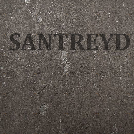 227252 Обои Rasch Tintura