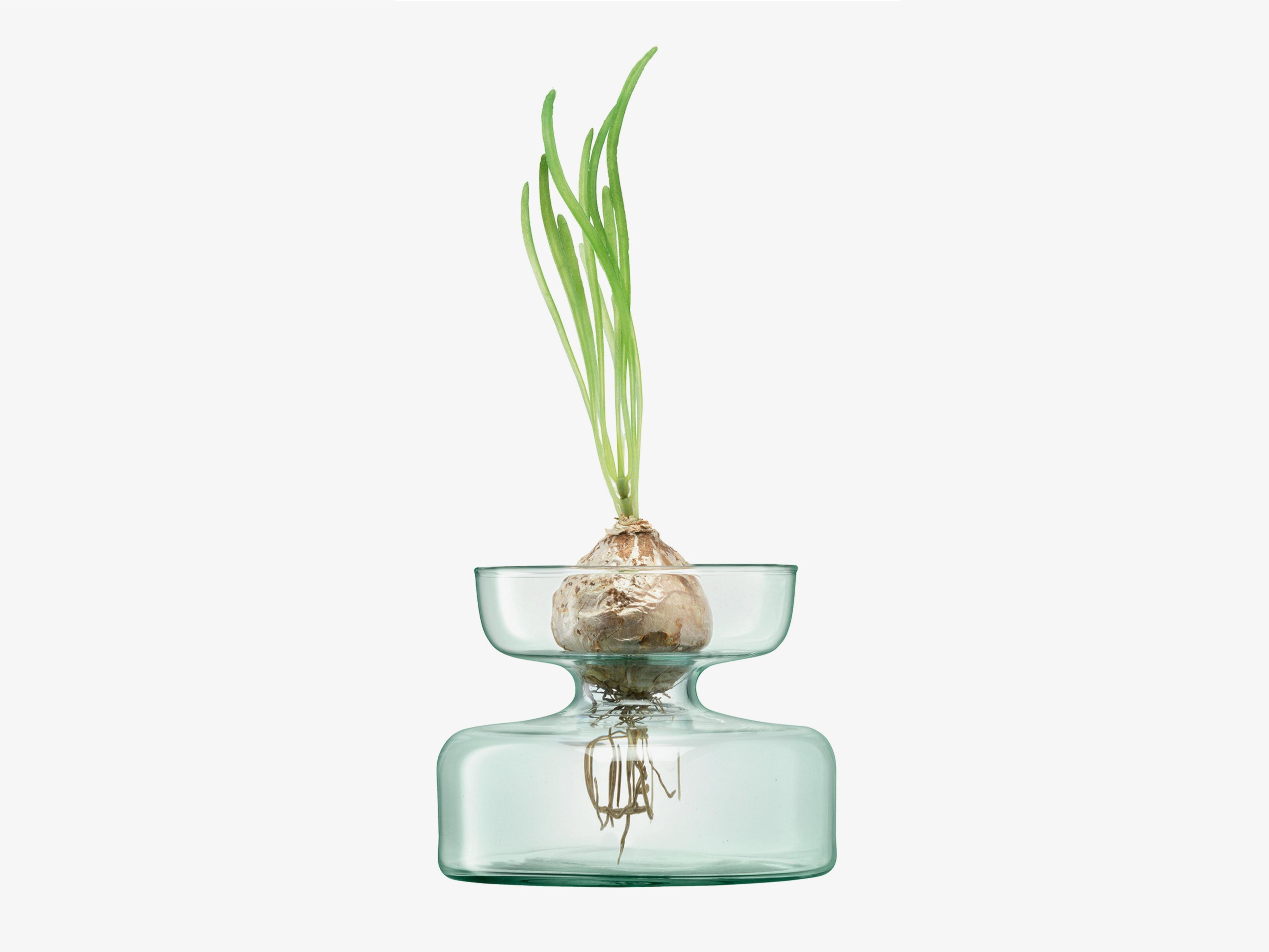 Переработанная стеклянная банка LSA Canopy ARCH-00023388