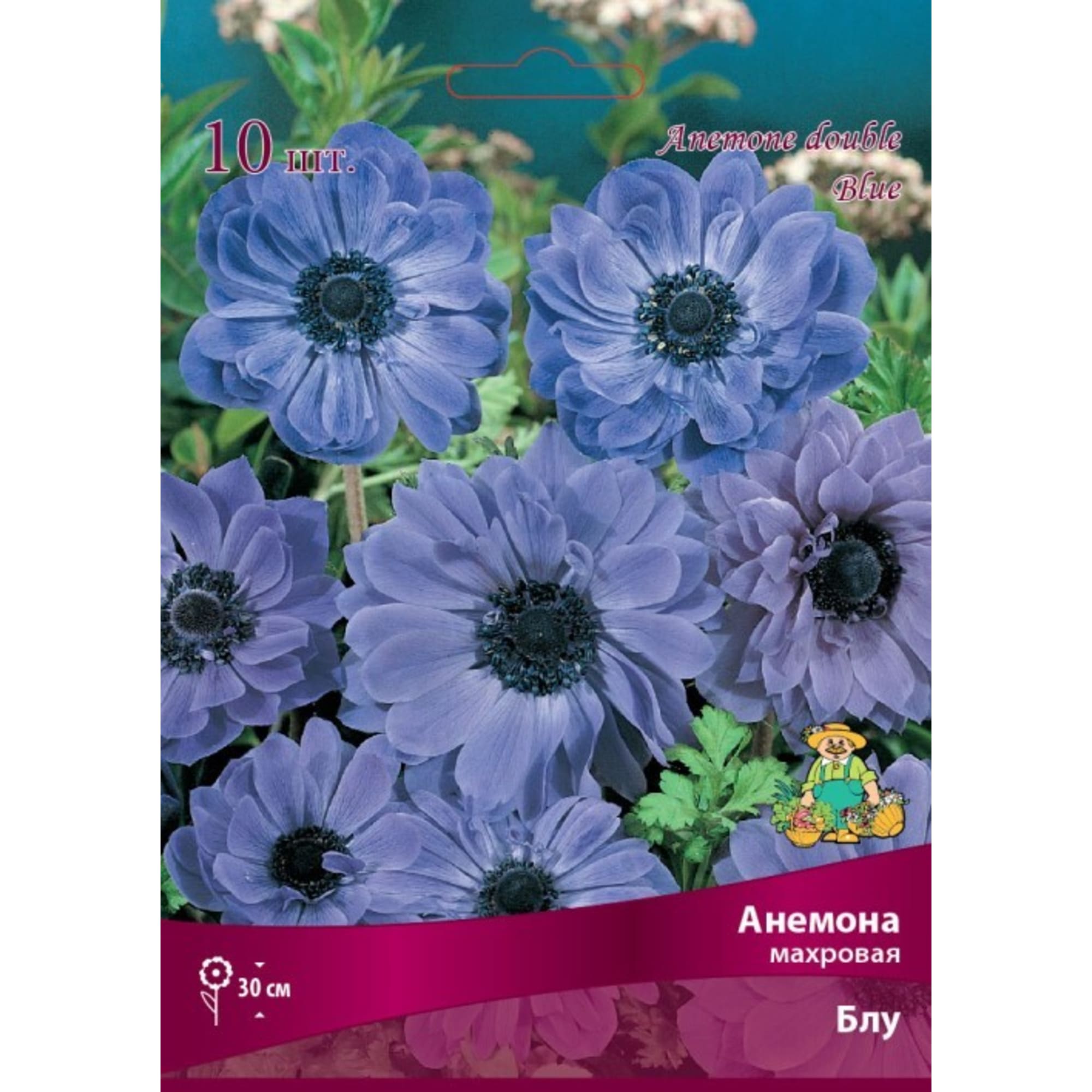 83593860 Анемона махровая Блу луковица 5/6 Santreyd 