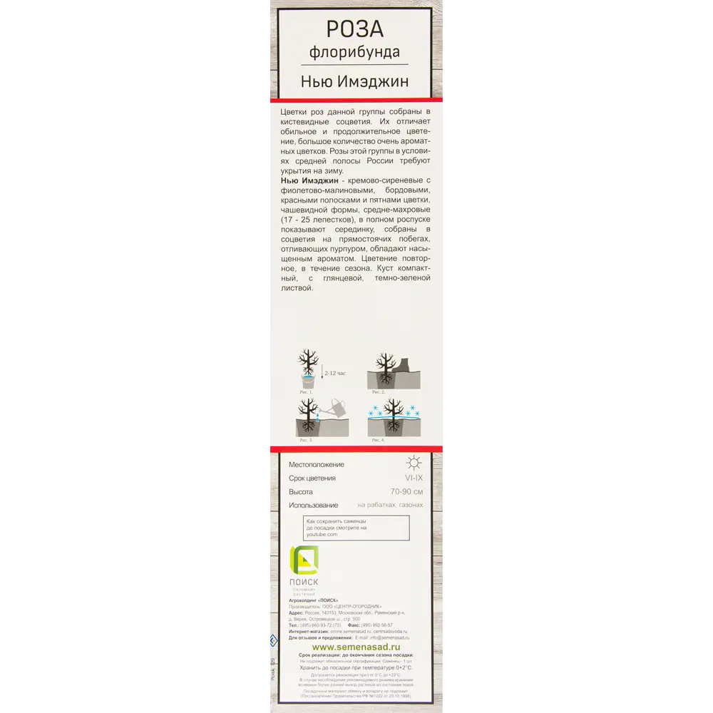 Роза флорибунда «Нью Имэджин» 81951229 STLM-2137564 Santreyd  - Вид №1
