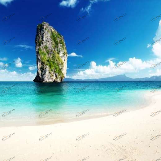 WP02505 Фотообои Verol Фотообои decoline 1х1 м